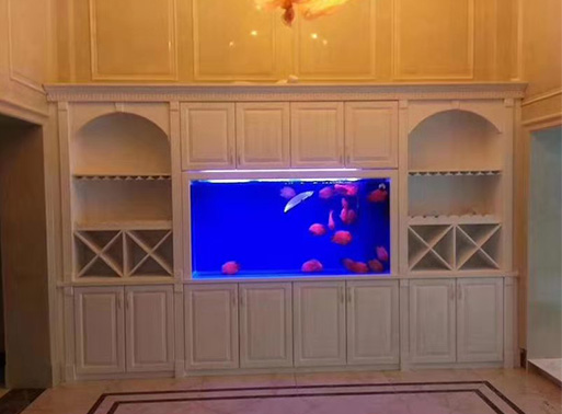 武漢魚缸定做案例